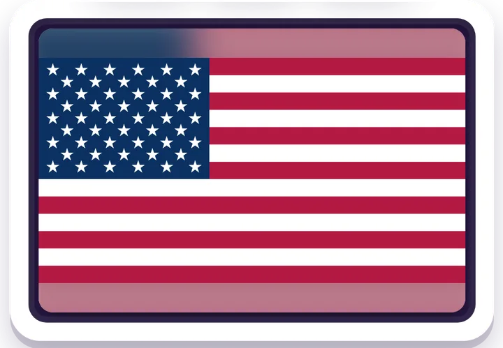 Flag Guess game board